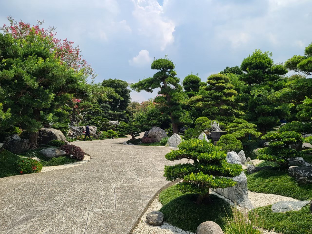 遊程封面照