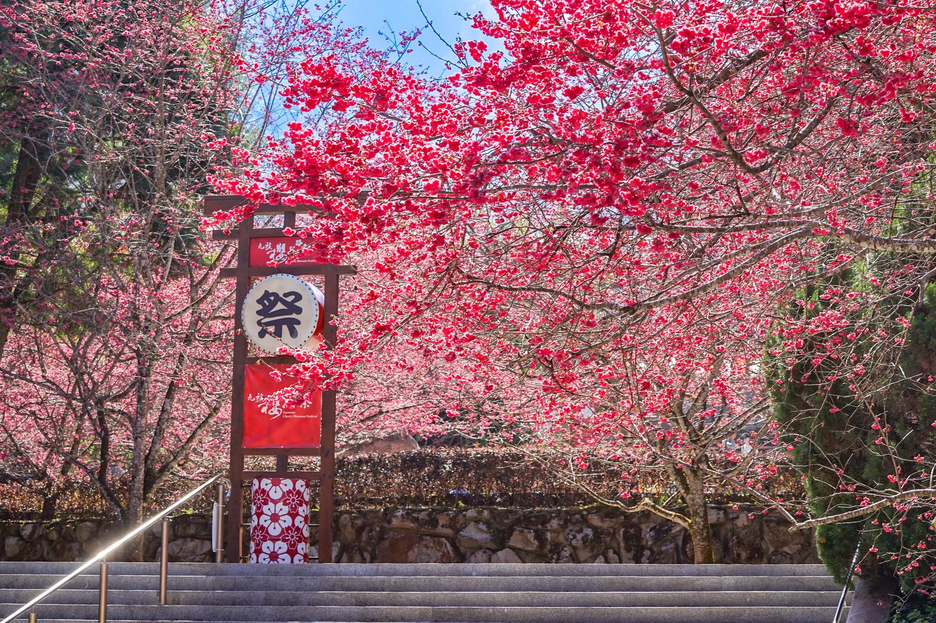 悠遊南投：文化底蘊與自然美景之旅