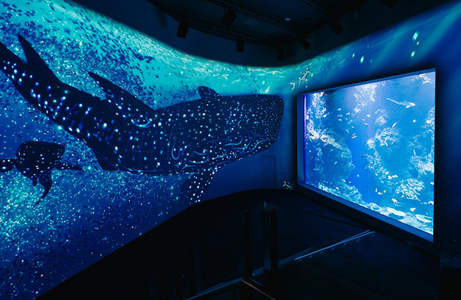  台中海洋館 Taichung Aquarium