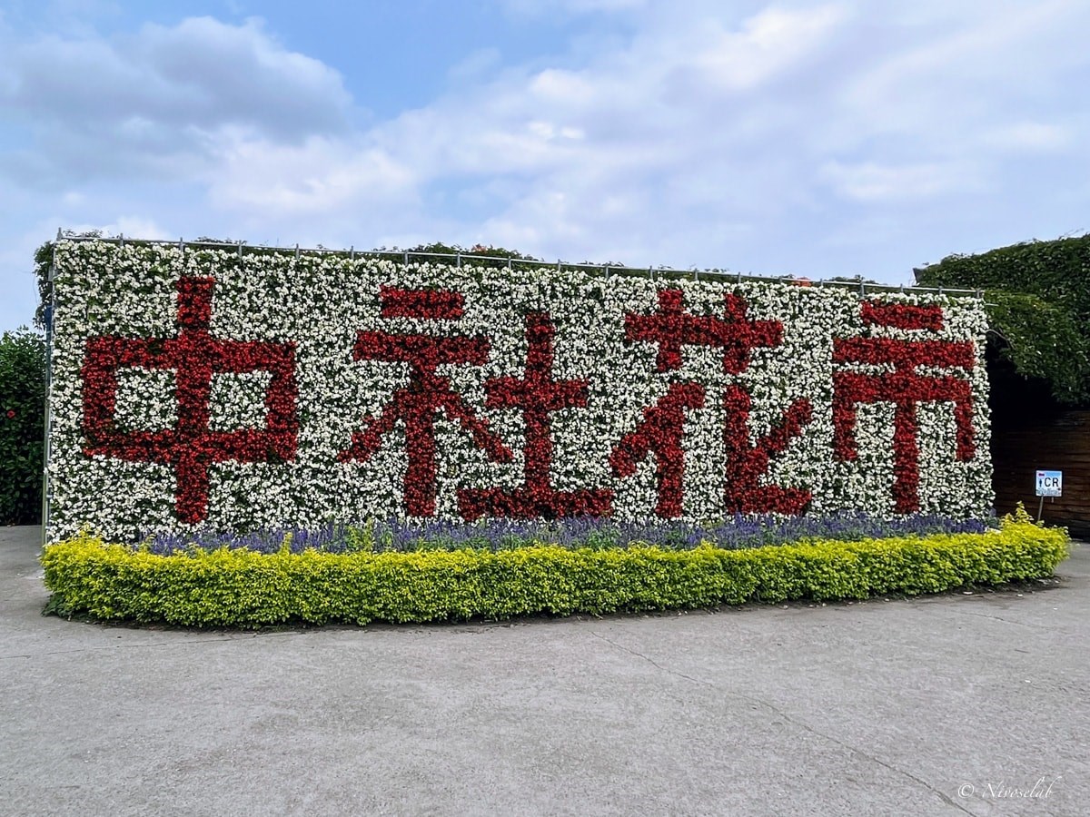 中社花海