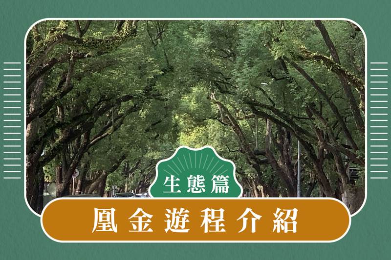 凰金認證遊程介紹 生態篇-杉林溪樂齡眷村懷舊之旅