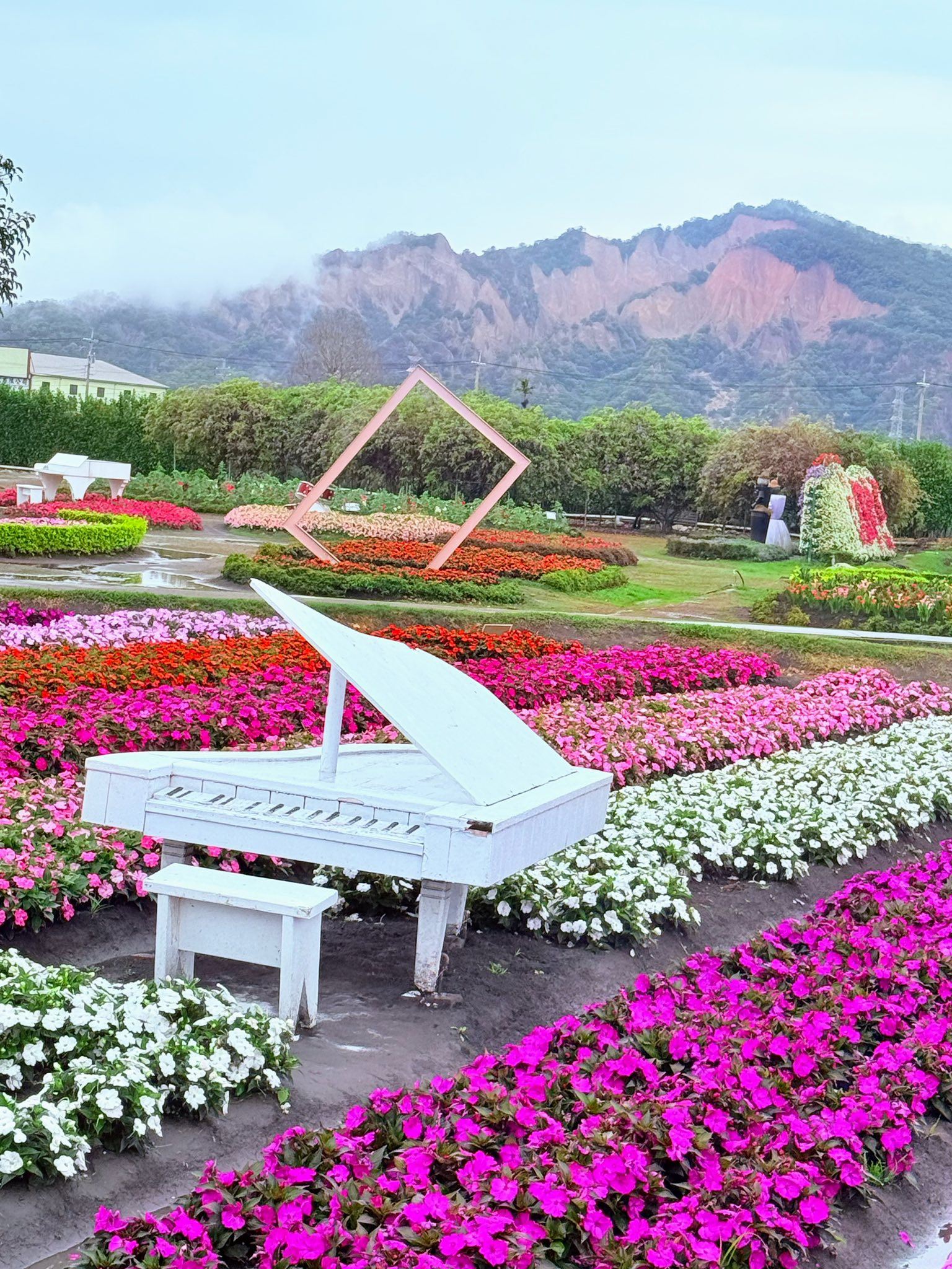 中社花海(午餐自理)