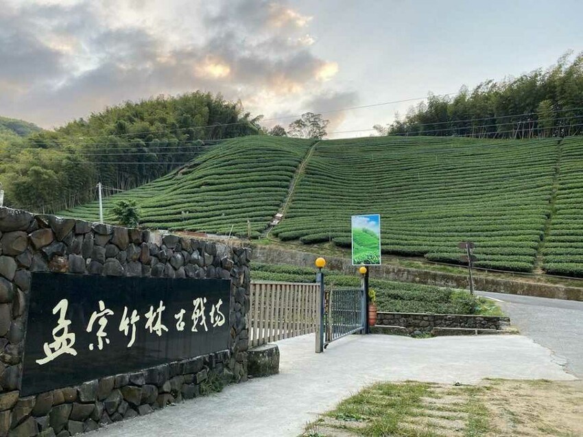 孟宗竹古戰場