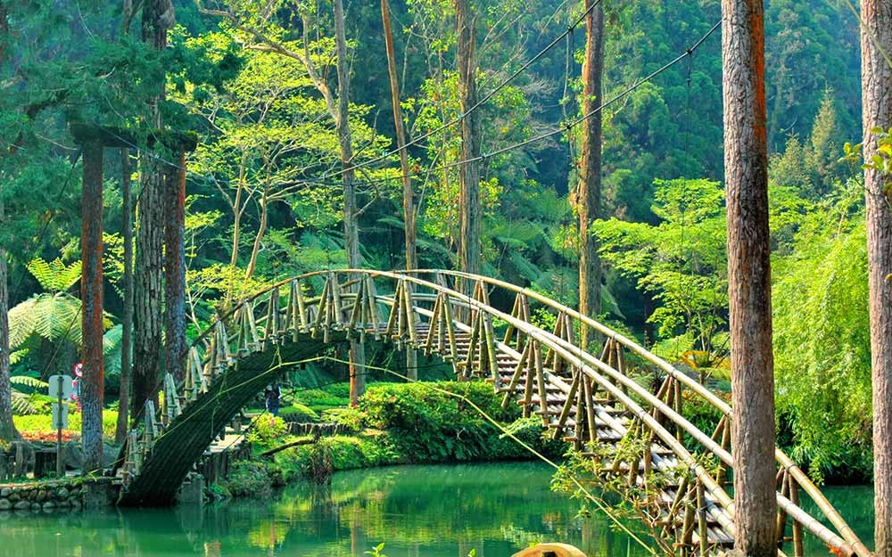 溪頭森林遊樂園區