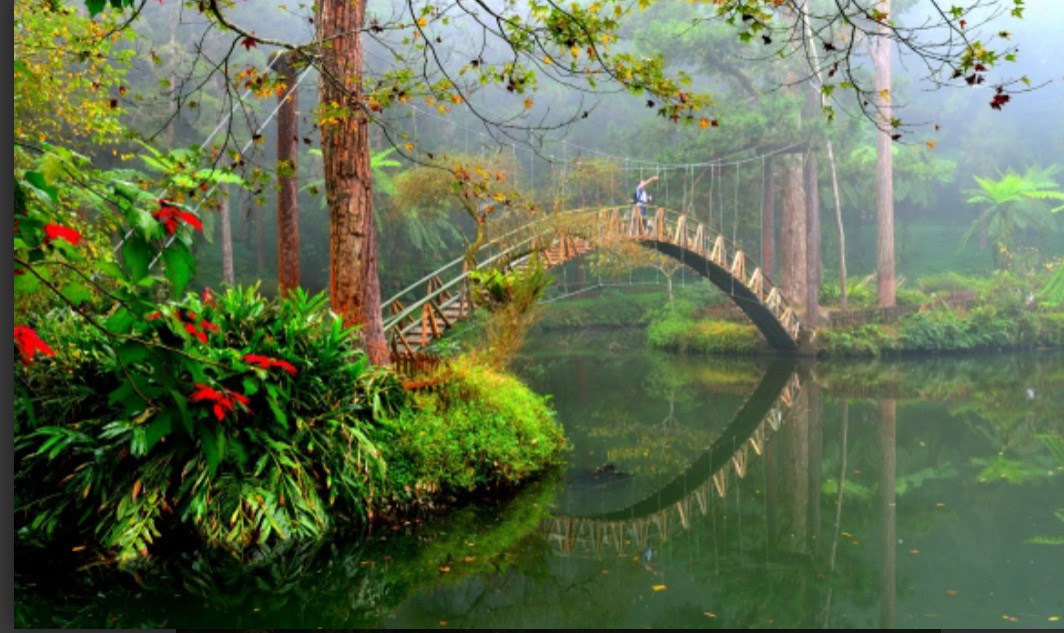 溪頭森林遊樂園區