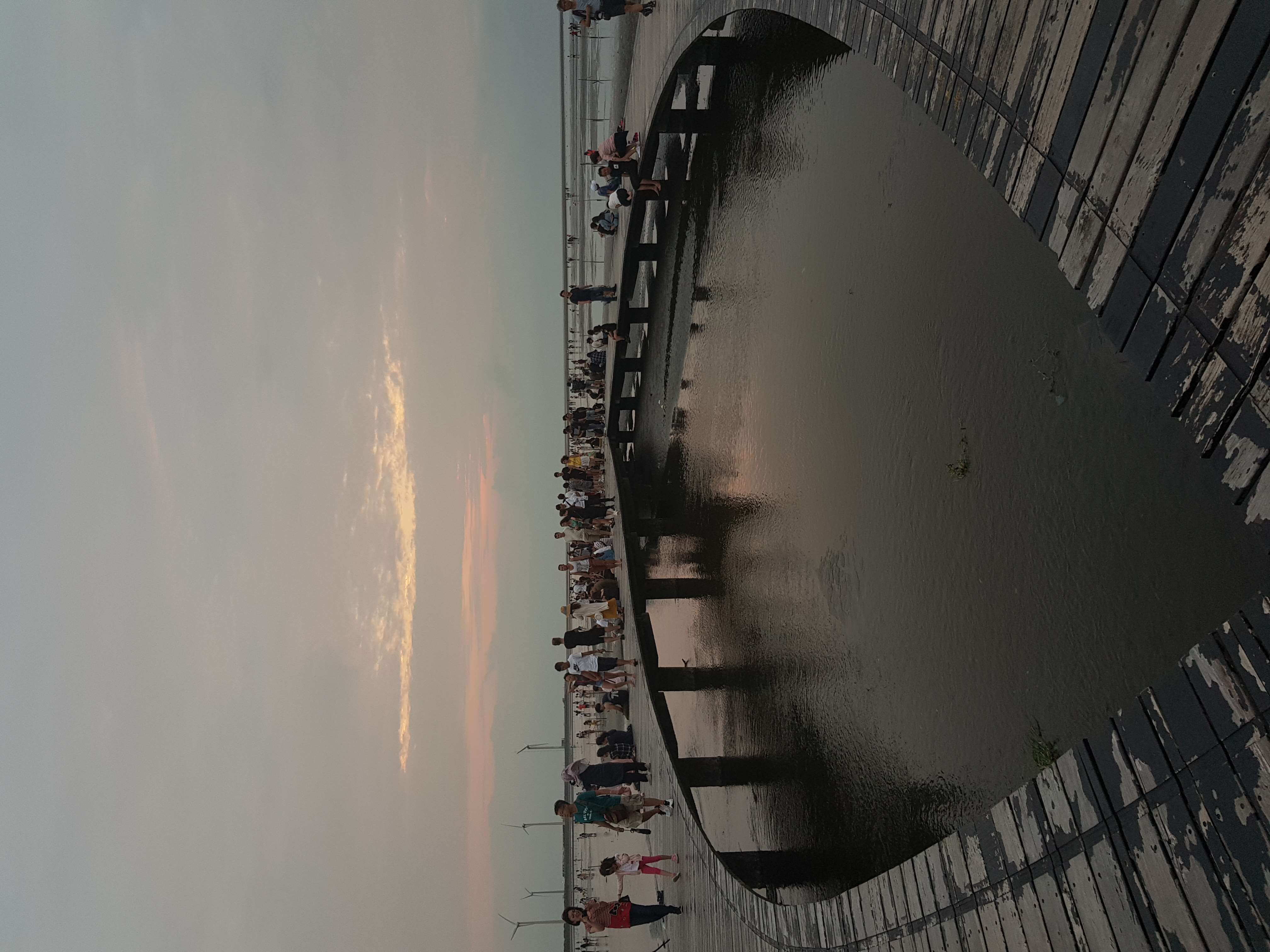高美濕地慢遊生態之旅