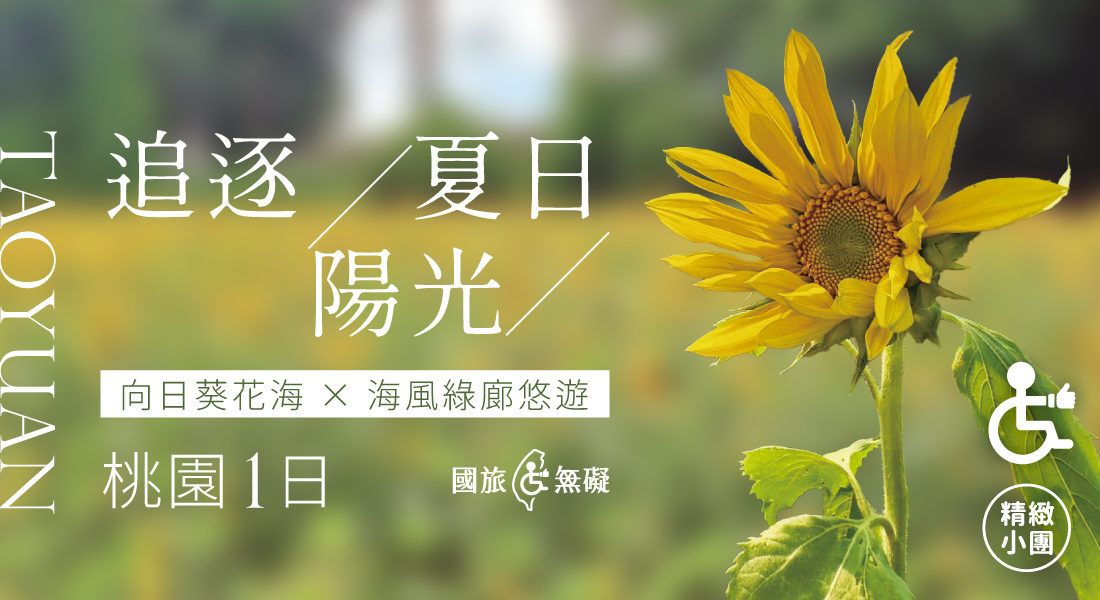 追逐夏日陽光｜向日葵花海 × 海風綠廊悠遊