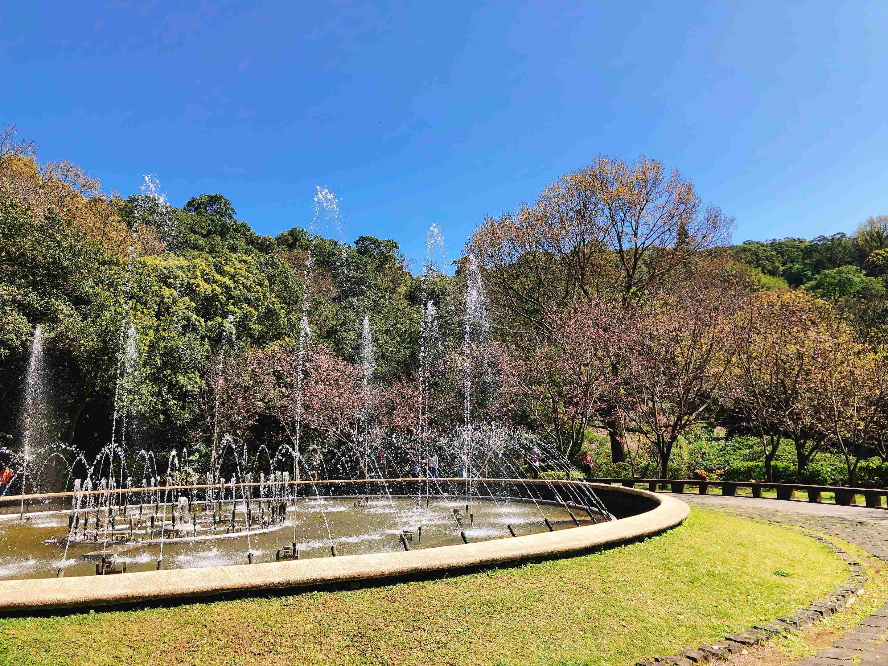陽明公園