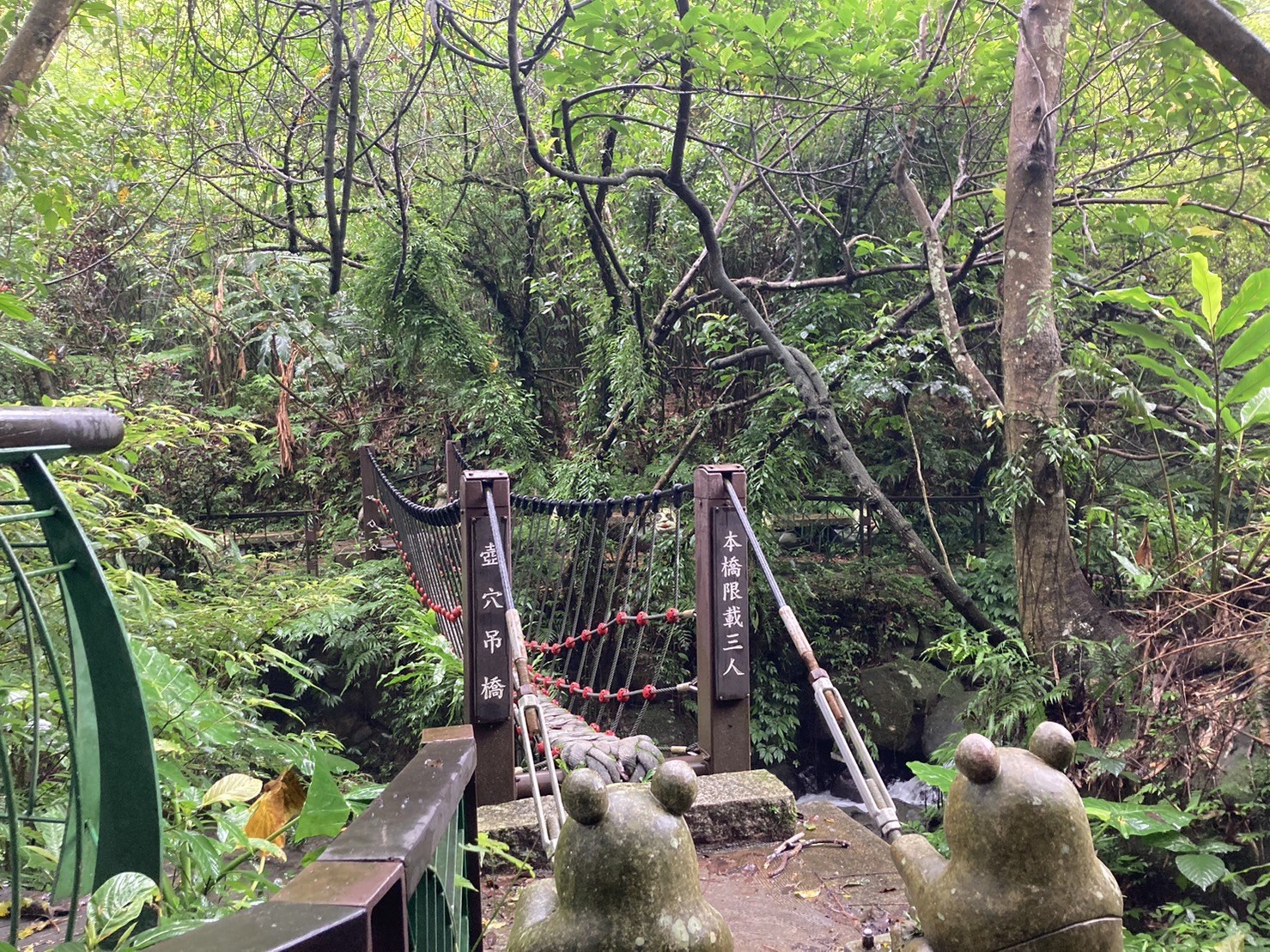 貓空茶香環狀步道或樟樹步道