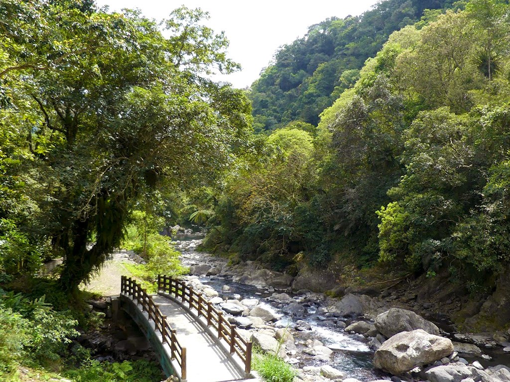 漫步水圳步道-蝴蝶公園