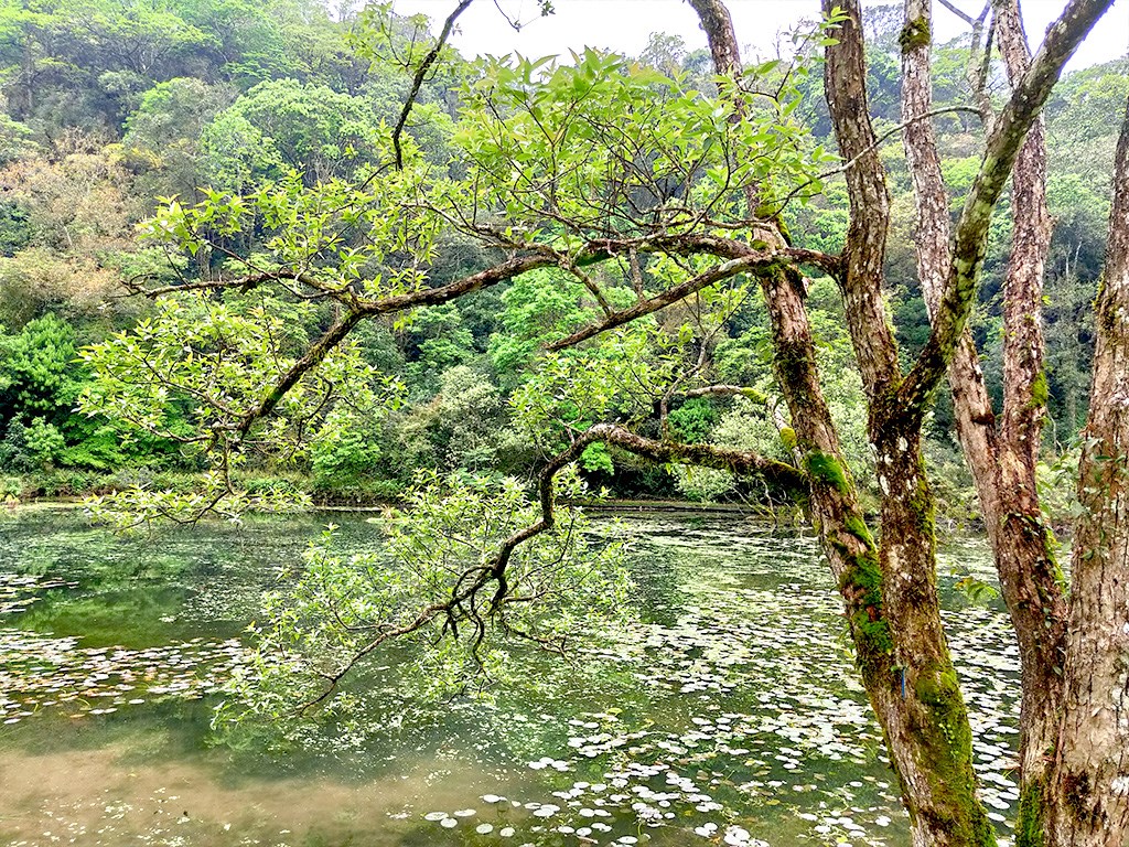 福山植物園