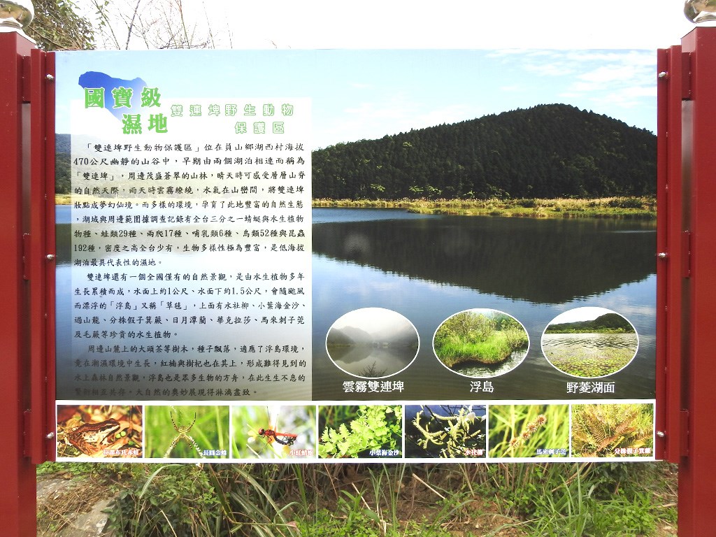 雙連埤