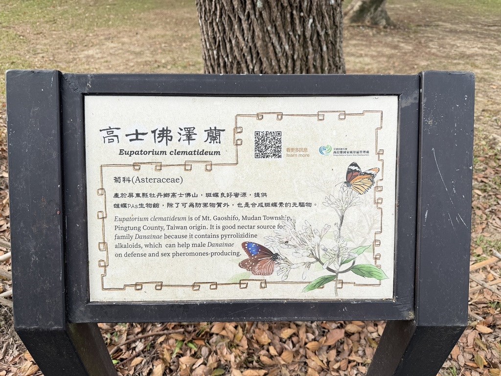 關子嶺-嶺頂資訊站(環境教育課程－做紫斑蝶的精靈朋友)